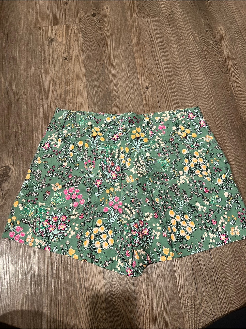 Maeve by Anthropologie Collette Shorts size 32 floral print